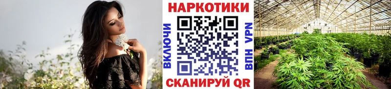 Наркота Адыгейск Гашиш  Бутират  АМФЕТАМИН  Меф мяу мяу  Alpha PVP  Каннабис  Галлюциногенные грибы 