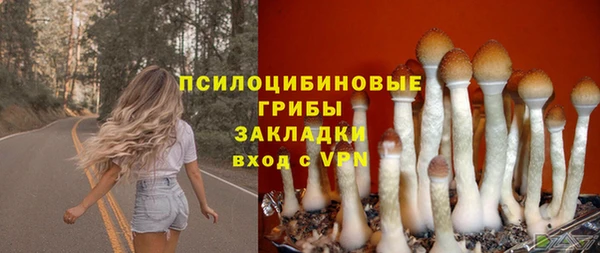амф Абинск