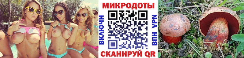 что такое наркотик  Адыгейск  Галлюциногенные грибы Psilocybe 